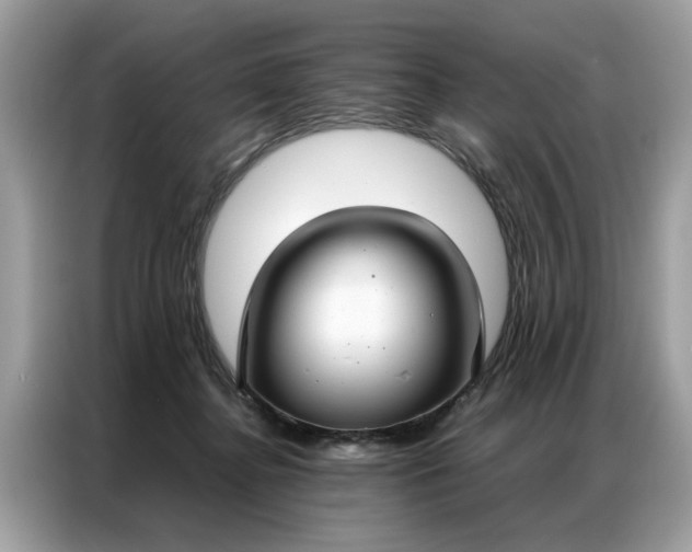 X0000086790364200704271835