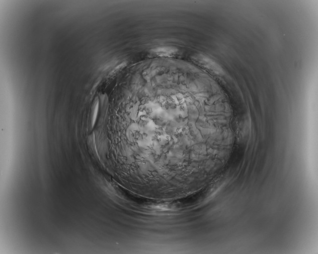 X0000086790365200704271835