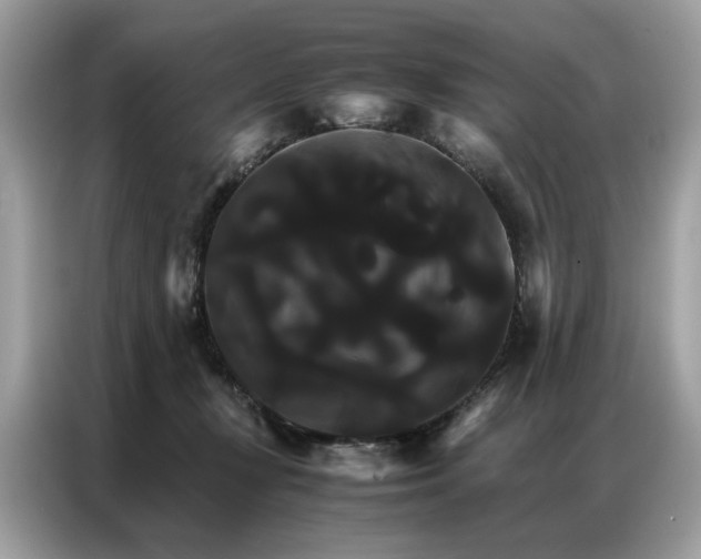 X0000086790367200704271835