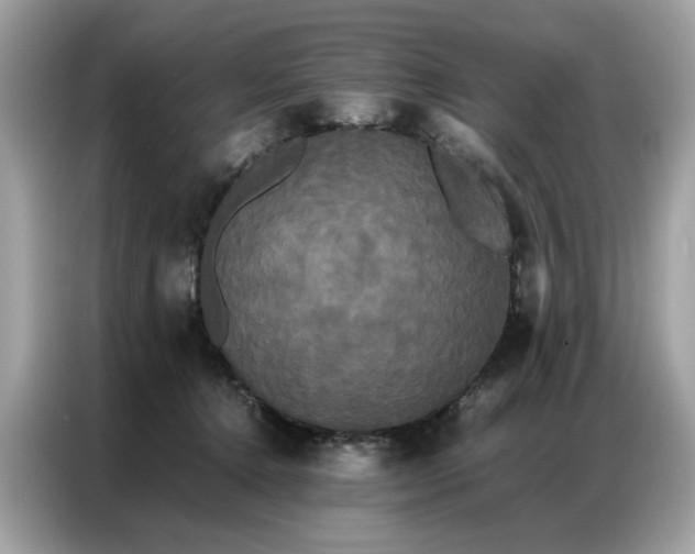 X0000086790368200704271835