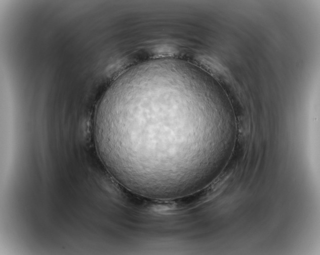 X0000086790369200704271835