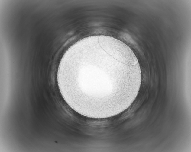 X0000086790370200704271835