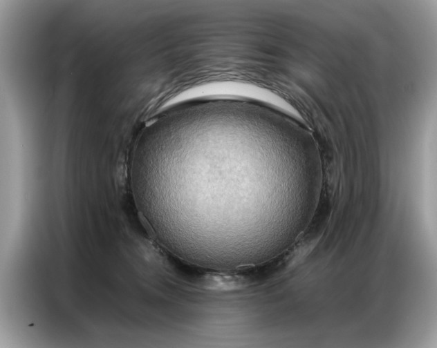 X0000086790372200704271835