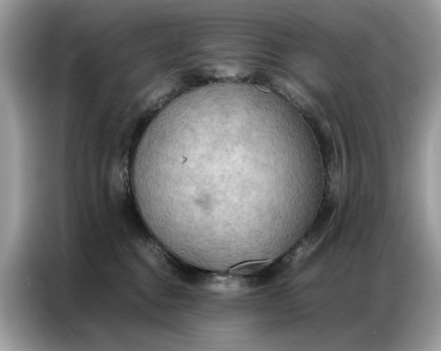 X0000086790376200704271835