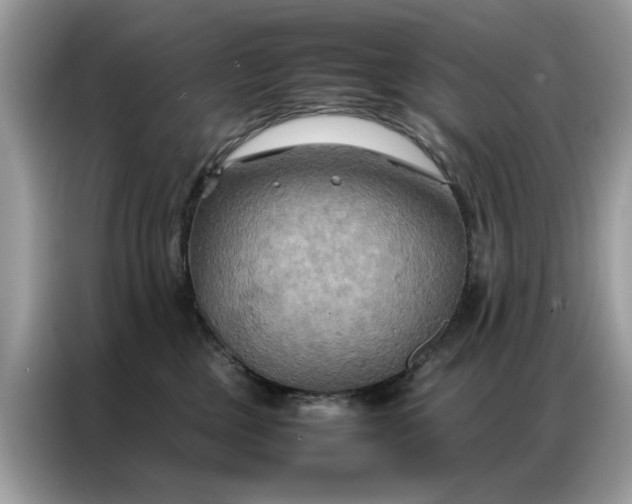 X0000086790377200704271835