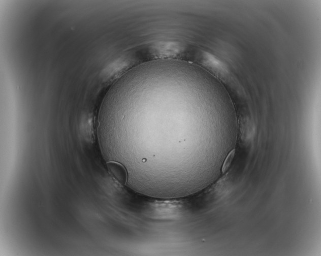 X0000086790378200704271835