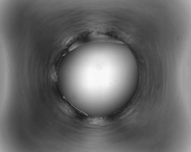 X0000086790384200704271835