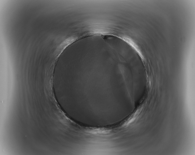 X0000086790385200704271834