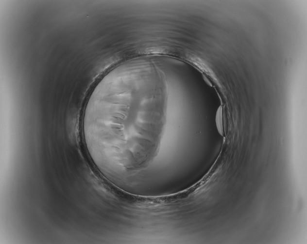 X0000086790386200704271834