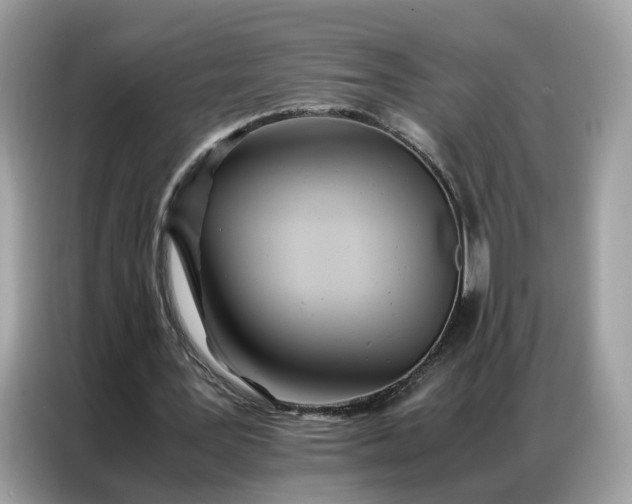 X0000086790387200704271834