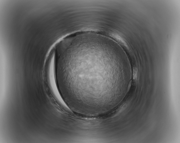 X0000086790388200704271834