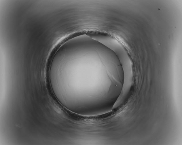 X0000086790391200704271834