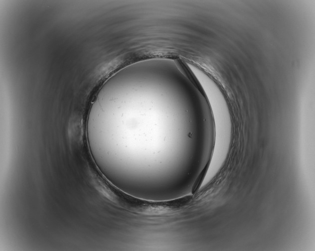 X0000086790397200704271834