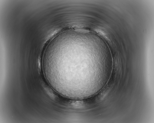 X0000086790398200704271834