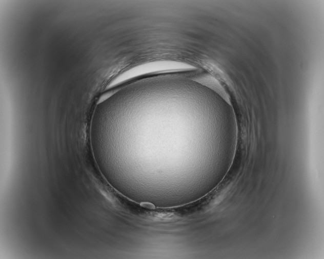 X0000086790401200704271834