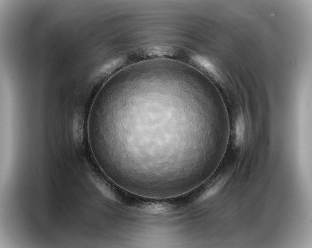 X0000086790402200704271834