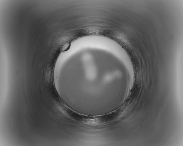 X0000086790411200704271834