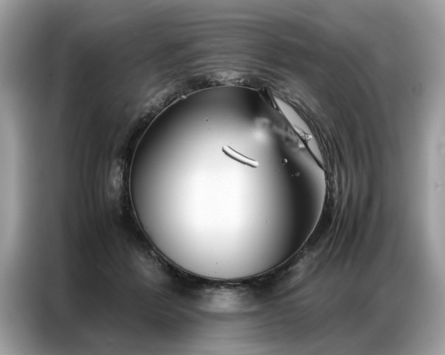 X0000086790412200704271834