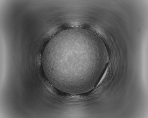 X0000086790413200704271834