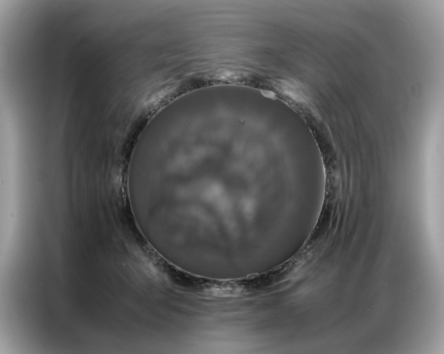 X0000086790415200704271834