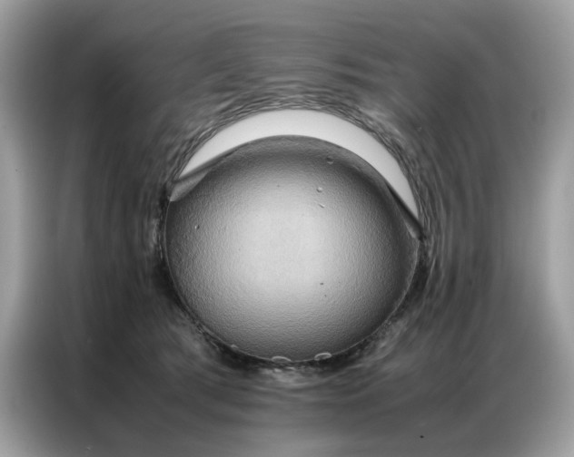 X0000086790417200704271834