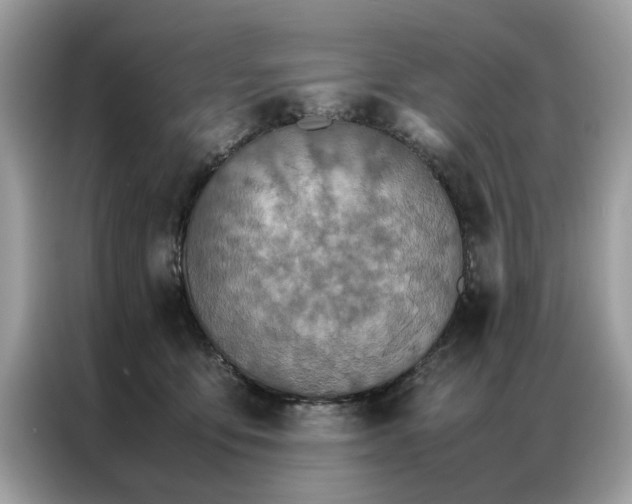 X0000086790419200704271834