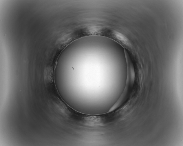 X0000086790421200704271834