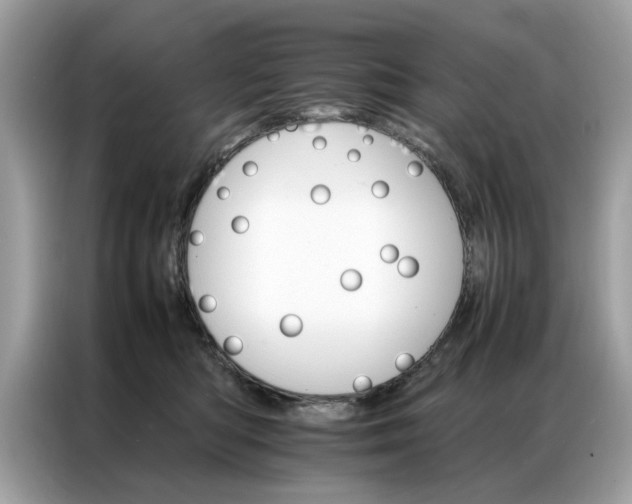 X0000086790422200704271834