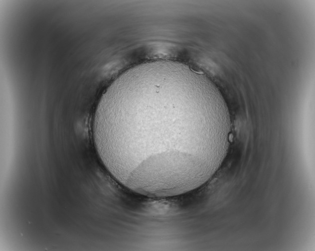 X0000086790423200704271834