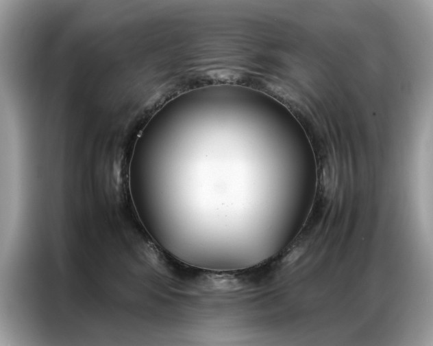 X0000086790424200704271834