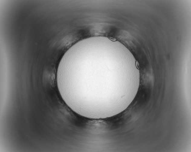 X0000086790427200704271834