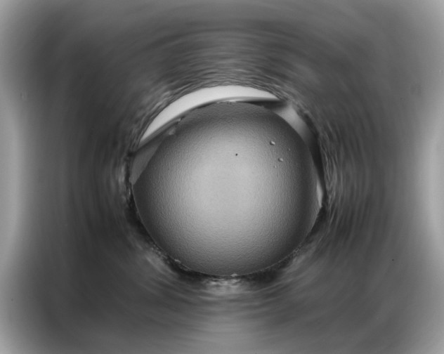 X0000086790428200704271834