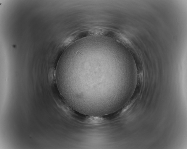 X0000086790429200704271834