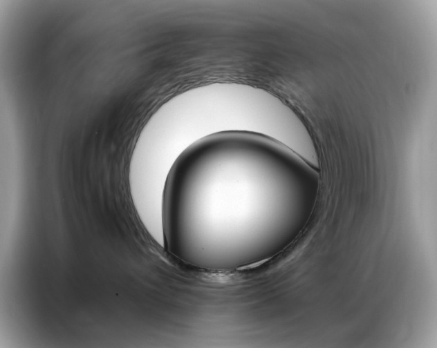 X0000086790432200704271834