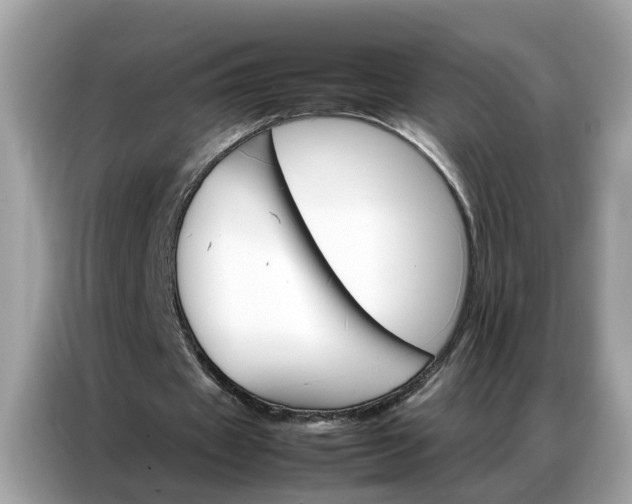 X0000086790433200704271833