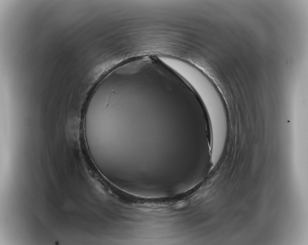 X0000086790434200704271833