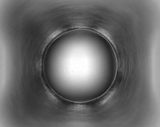 X0000086790437200704271833