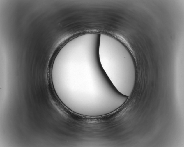 X0000086790439200704271833