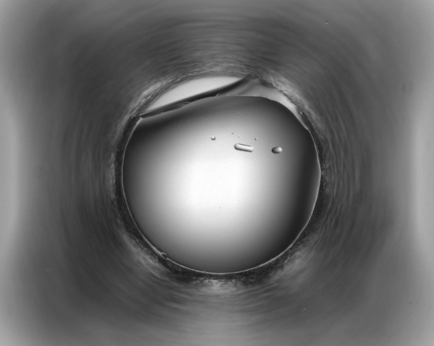 X0000086790442200704271833