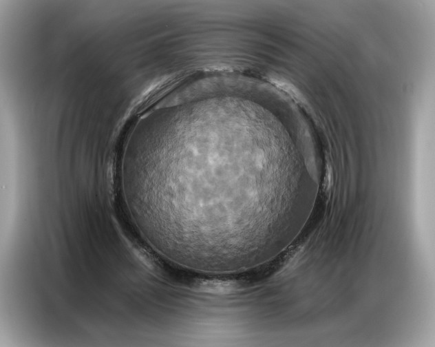 X0000086790444200704271833