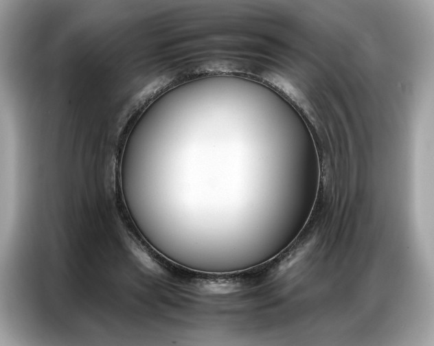 X0000086790445200704271833