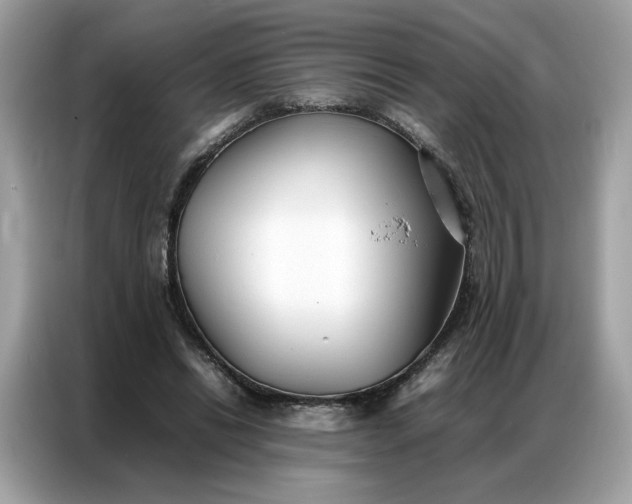 X0000086790446200704271833