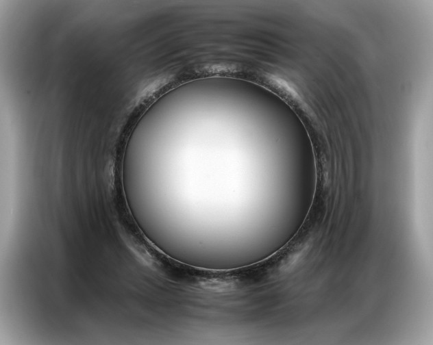 X0000086790447200704271833