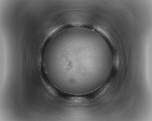 X0000086790448200704271833