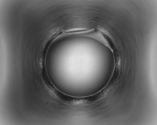 X0000086790452200704271833