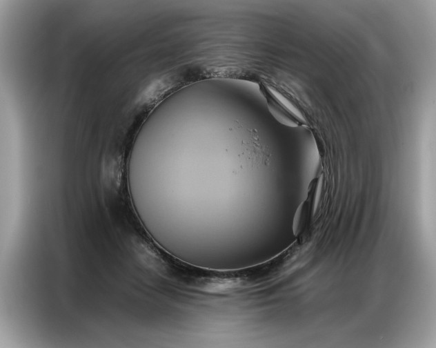 X0000086790458200704271834