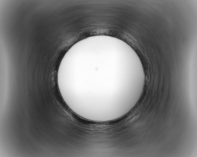 X0000086790462200704271834