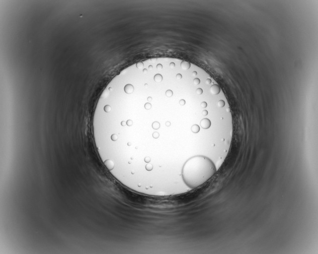 X0000086790463200704271834