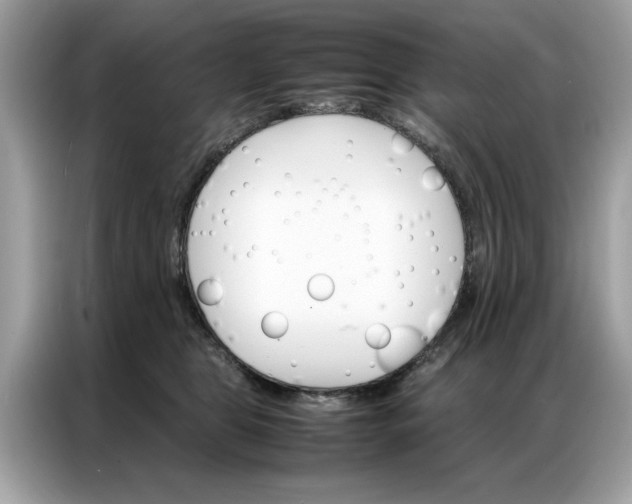 X0000086790469200704271834