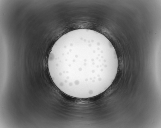 X0000086790471200704271834